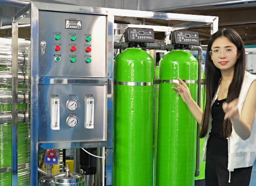 0.5TPH Reverse Osmosis Water Treatment System 0.5TPH Reverse Osmosis Water Treatment System